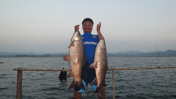	เอ๊า  ....เอาเข้าไป