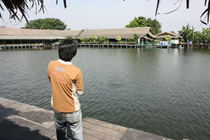 หันมาตกทางนี้มั่ง หลบแดด
