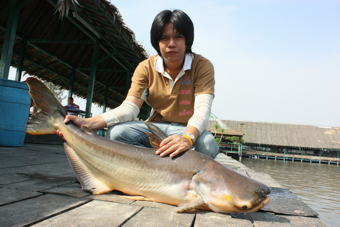 หล่อสุดๆ (ไปสุดถนนเลย)