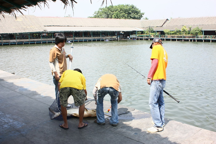 ทำเวลาน่าดู