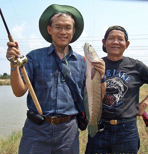 หมูใน....อวย?