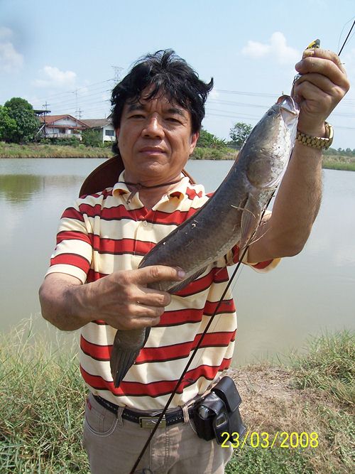 ตัวนี้กำลังแป๊ะซะ