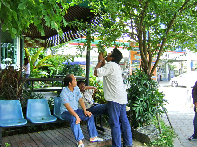 สักคำละกัน :laughing: :laughing: :laughing: