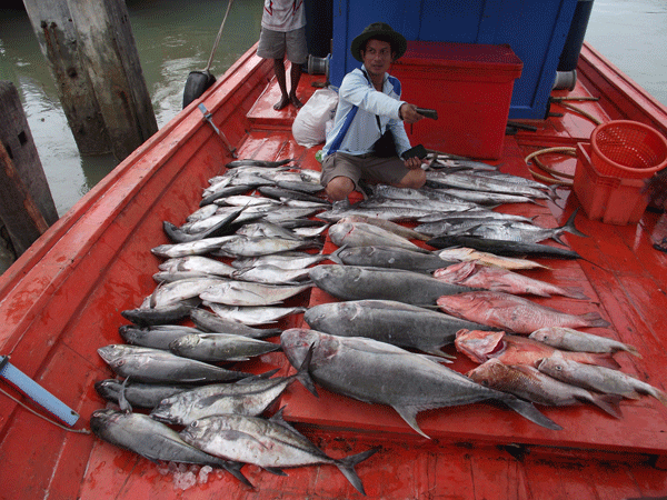 ถึงท่าเรือก็รีบรื้อปลากันเลยครับ :grin: :grin: :grin:
