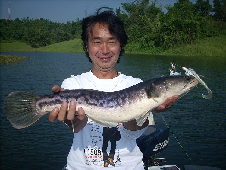 จัดให้แล้วนะครับคุณทาเคชิ :grin: