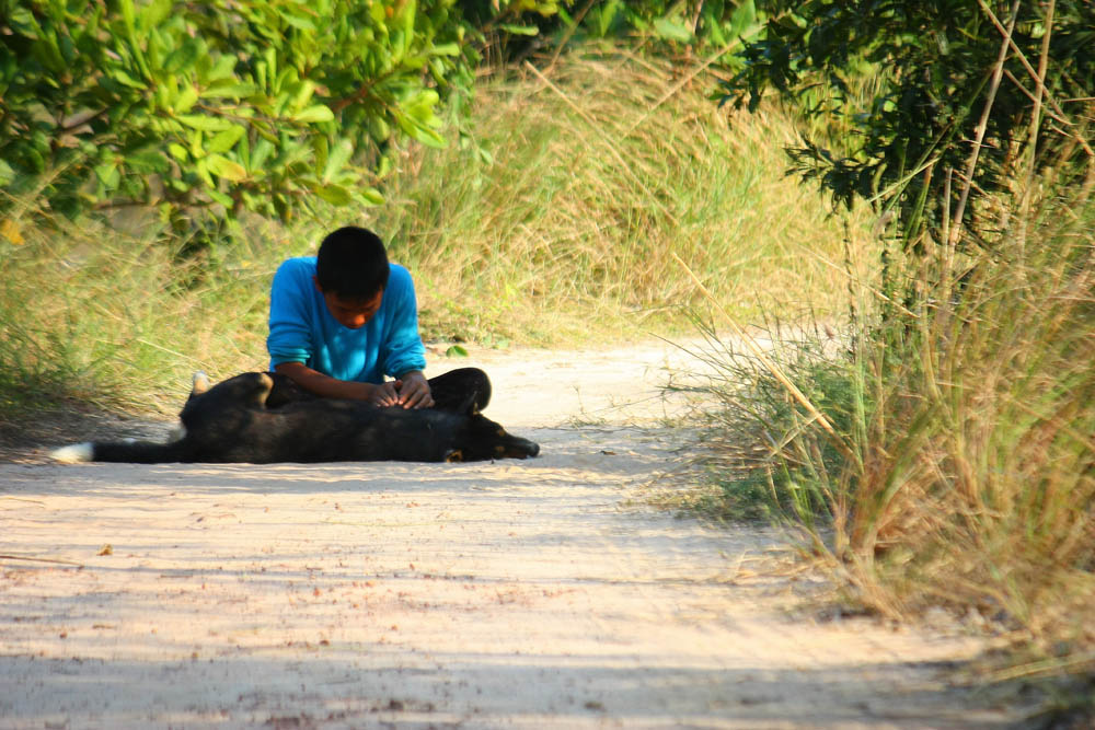 กองเชียร์ก็เลยเซ็งซิครับ....หาเห็บให้มาดีก่า... :laughing: :laughing: :laughing: :laughing: