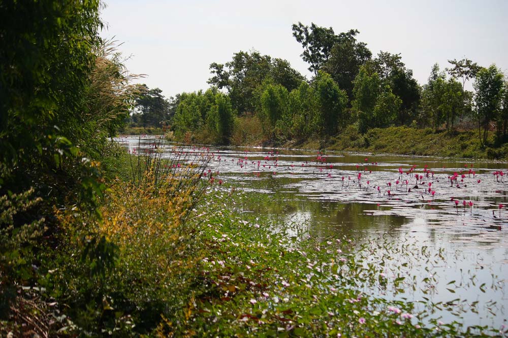 ด้านหน้าก็สวย..... :love: :love: :love: :love: :love: