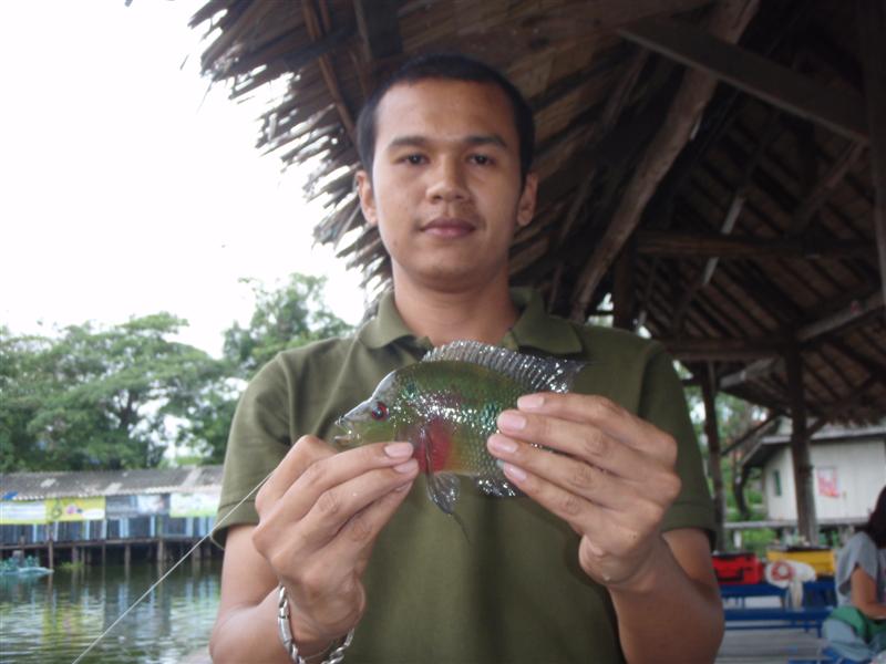 ตัวนี้น่าเอาไปทอดกิน... :umh: :umh: :umh: