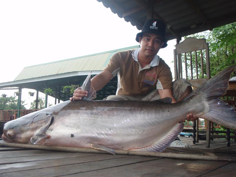[q][i]อ้างถึง: noch posted: 15-11-2553, 16:11:24[/i]

หรือว่าปลาจำกลิ่นมือทั้งแกงค์ได้ โยนตรงไหนยั