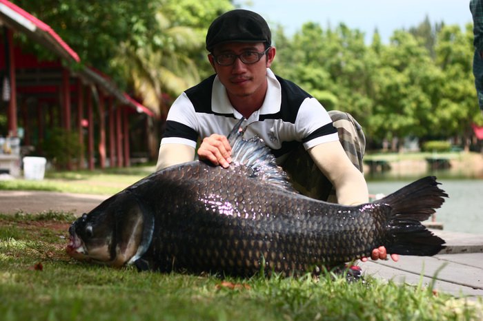 [q][i]อ้างถึง: Wit-RAW_Company posted: 15-11-2553, 19:55:24[/i]

[q][i]อ้างถึง: noch posted: 15-11