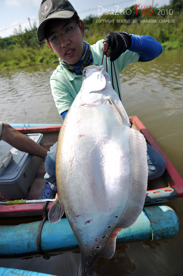 แหม     :smile:

ต้องขอแสดงความยินดีกับน้าแต๊ก ThaiFishingTV ด้วยนะครับ  :cheer: