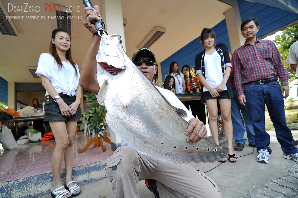 น้า kman ขอแจมสักใบ  :cheer: