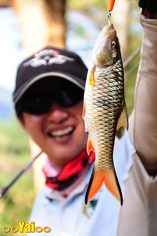 ดวงยังแข็งนะเพ่โปร เอิ๊กๆๆๆ :laughing: :laughing: :laughing: :laughing: :cheer: :cheer: :cheer: :che