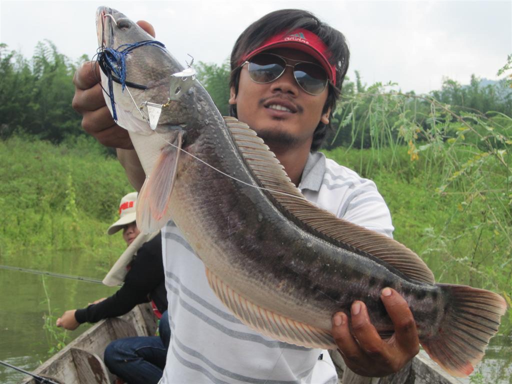 พอได้ :cool: :cool: :cool: