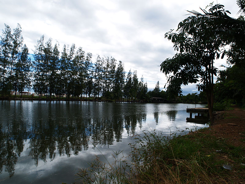 ไปฝ่าดงสวาย ... ตามหาน้องเล่ง ... กันนะครับ *-*