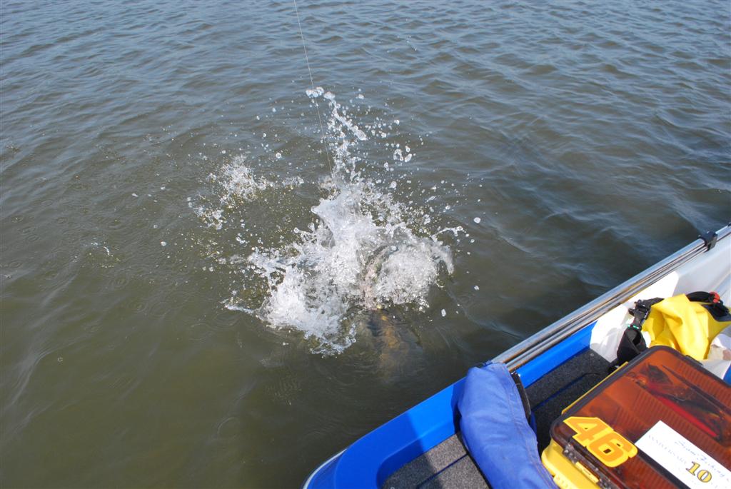 


หวัดดีครับน้า...AR-Fishing 