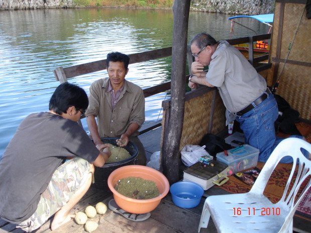 ญี่ปุ่นดูการผสมเหยื่อแบบไทยๆ กับการตกปลาหน้าดิน โดยคุณเล็กเจ้าของแพ