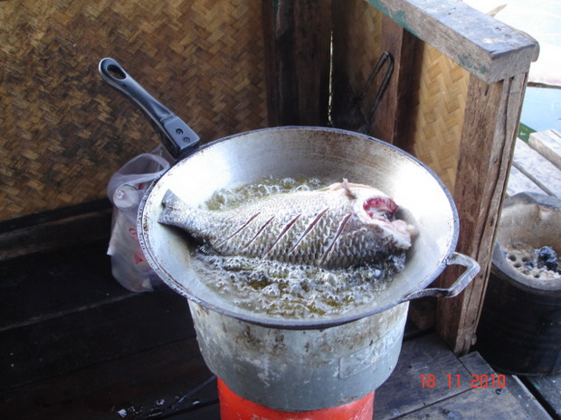 จะกินปลาทอด รสขาติจะสู้ปลาดิบได้ไห