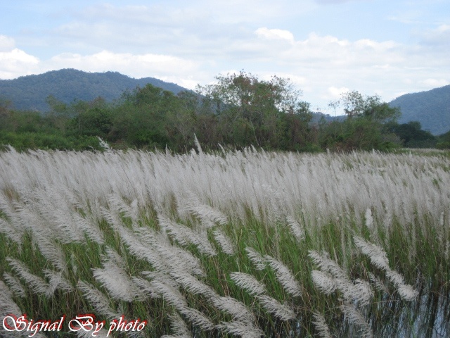 น้ำท่วมหมายหมดเลยคับแต่สวยมาก
