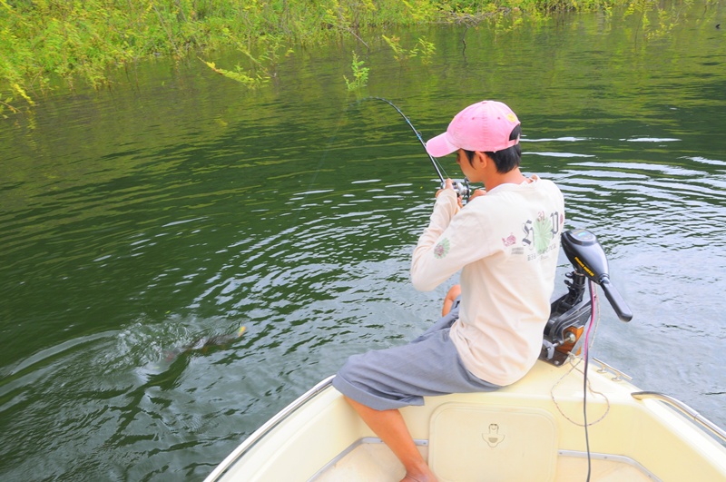 
สวัสดีครับ น้าTatham123  :blush: :blush: