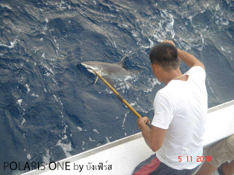 กลายเป็นน้อง มาย ต้องปลดปล่อยเลย อดหล่อเลย :laughing: :laughing: :laughing:
