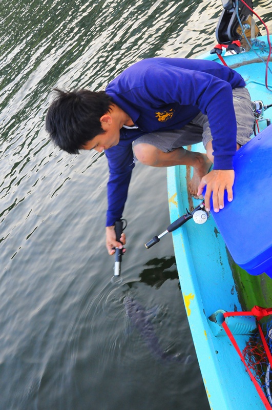 
ให้เฝ้า อ่าว อยู่นี่แหละ  :grin: :grin: