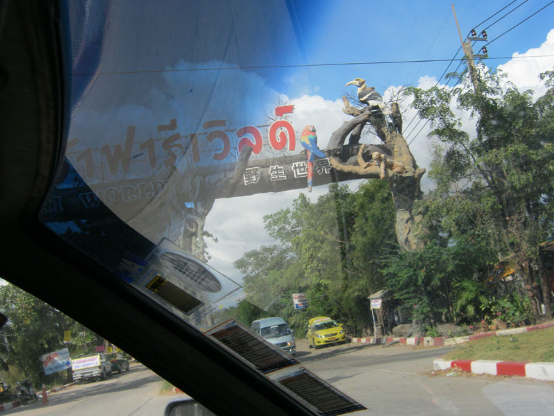 ผ่านซาฟารีครับเก็บรูปสักหน่อย :cheer: :cheer: :cheer: