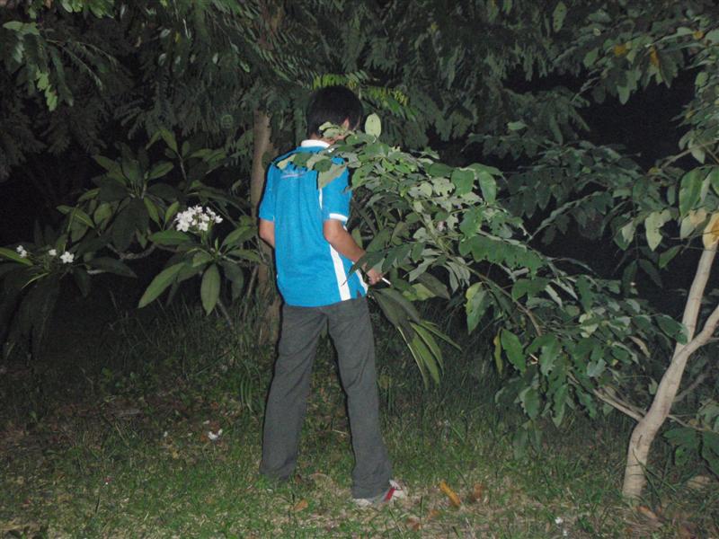 ต้นเหตุอยู่นี่เอง...อ.เติร์กกำลังให้อาหารต้นไม้รอบๆบ่อนี่เอง... :laughing: