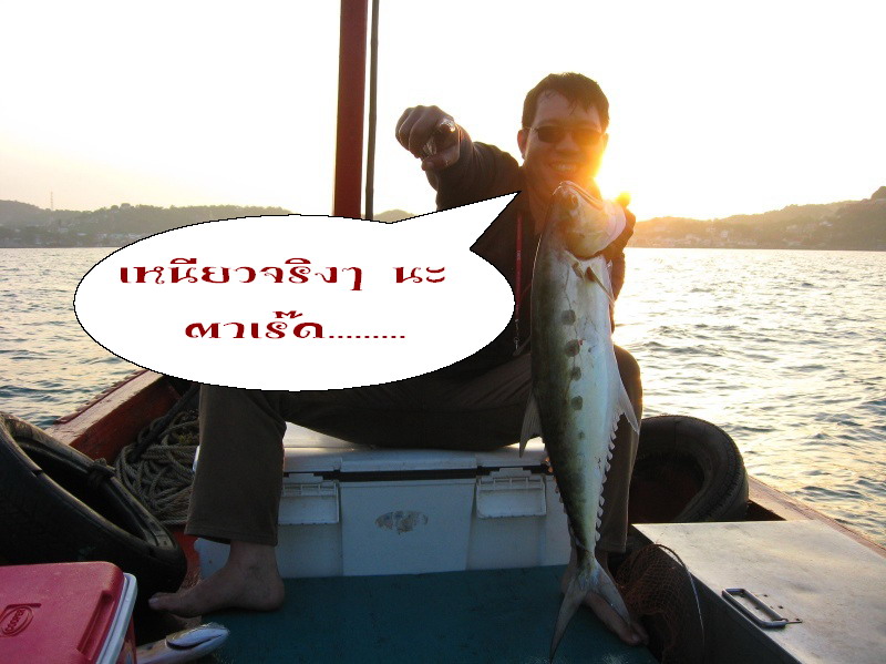 แวะทักทายเพื่อนๆ สมาชิกที่ได้โพสข้อความไว้หน่อยนะครับ  :love: :love: :love:

-----  หน้า 5 ------
