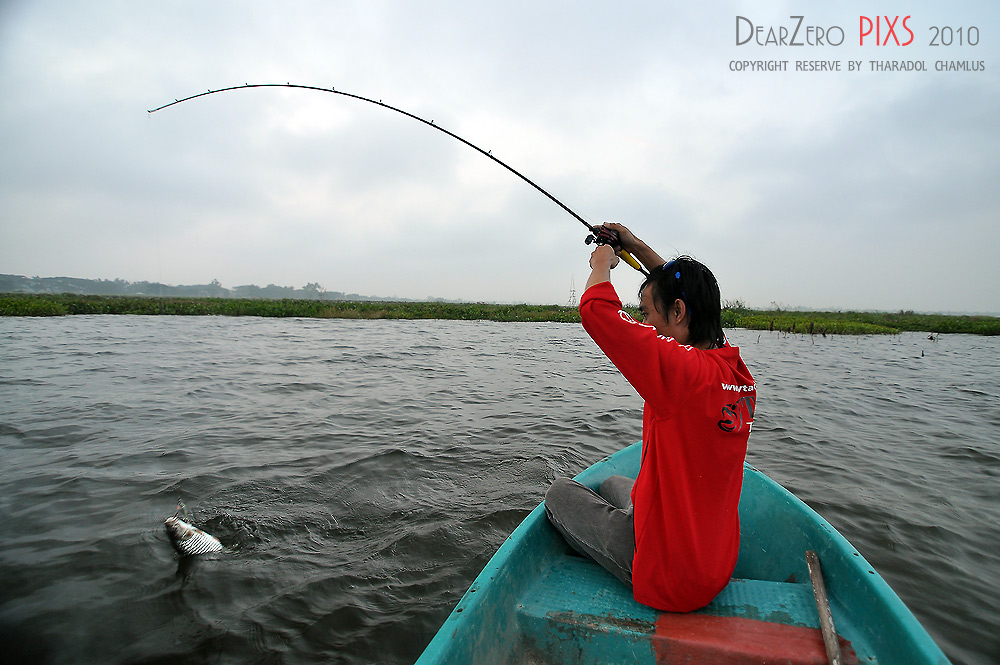 [q][i]อ้างถึง: ลูกมดแห่งร้อยรู posted: 22-11-2553, 21:17