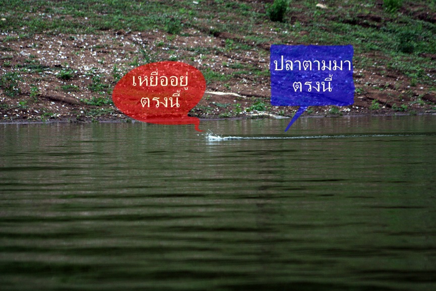 สวัสดีครับ น้า cy  (ขอบคุณครับ :love: :love: :love:)
สวัสดีครับ น้า devil229  ( ขอบคุณครับ :blush: 