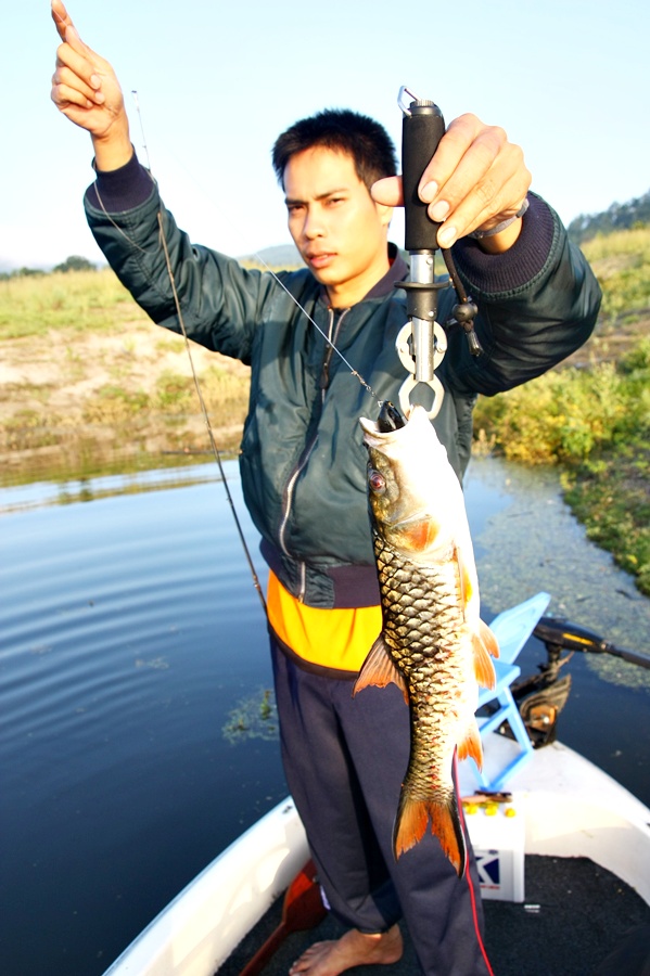 แฮะๆๆ     ได้โชว์