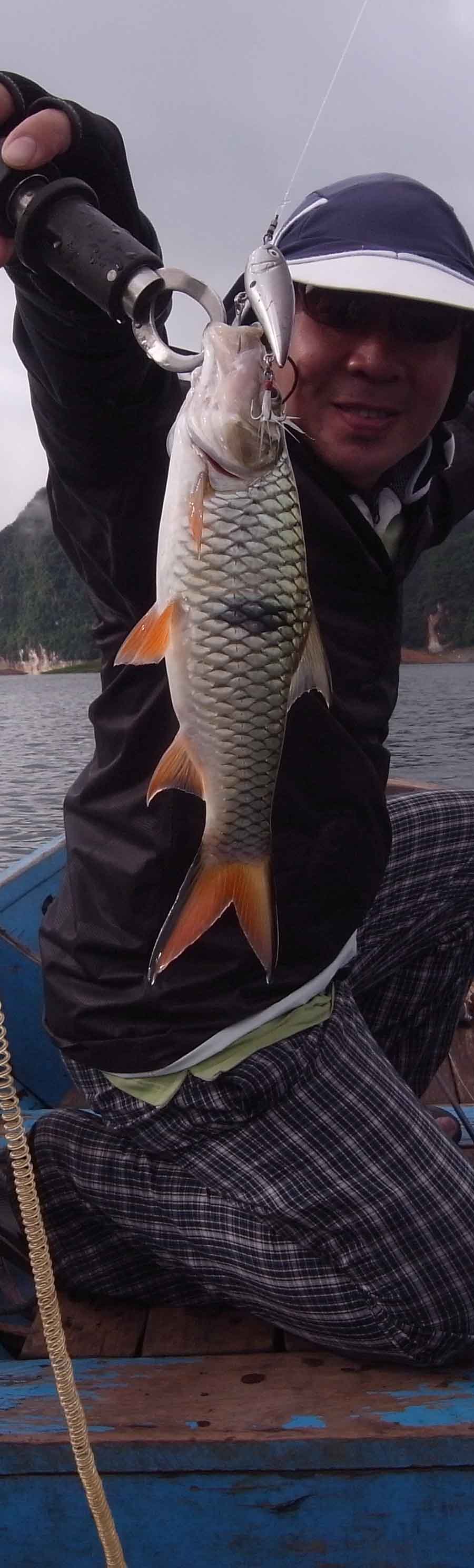 ได้เลย...เอาชัดๆ..