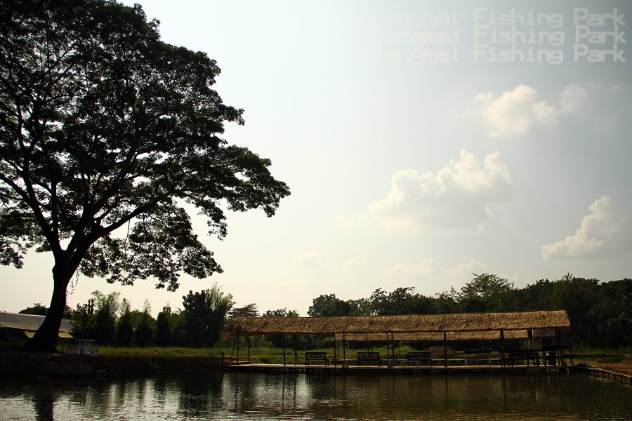 


สำหรับเพื่อนนักตกปลาที่จะขึ้นมาเที่ยวเชียงใหม่ ไม่ควรพลาดครับ

บรรจุไว้ในทริพน่าจะเติมเต็มคว