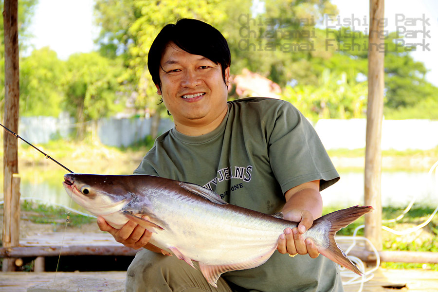 


ถึงเวลาเฉลยโฉนมหน้าของเจ้าของ โปรเจ็คดีๆ แบบนี้แล้วครับ

พี่เชียร แห่งร้าน "น้องบัว"  หรือ