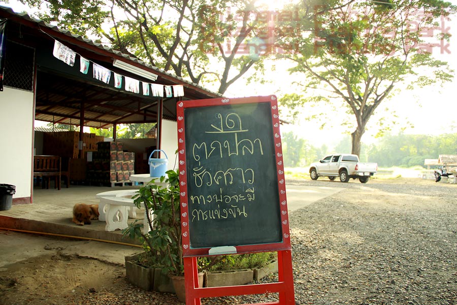 

ช่วงนี้ บ่อยังไม่เปิดให้บริการอย่างเป็นทางการนะครับ

อะไรหลายๆ อย่างยังไม่เข้าที่เข้าทาง 

ป