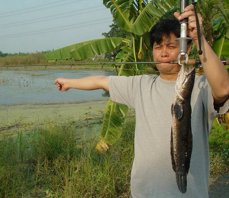 ปลามันอยู่ทางนี้คร้าบบบบบบ... :grin: