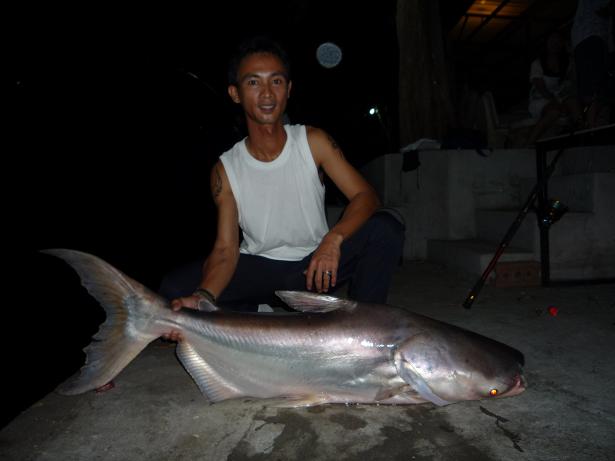ยิ่งไปตก ยิ่งเจอใหย่ขุ้นทุกวัน :tongue: