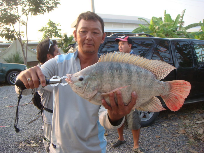 ทิ้งท้ายกันด้วยรูปนี้เลยครับ ลุงนพ