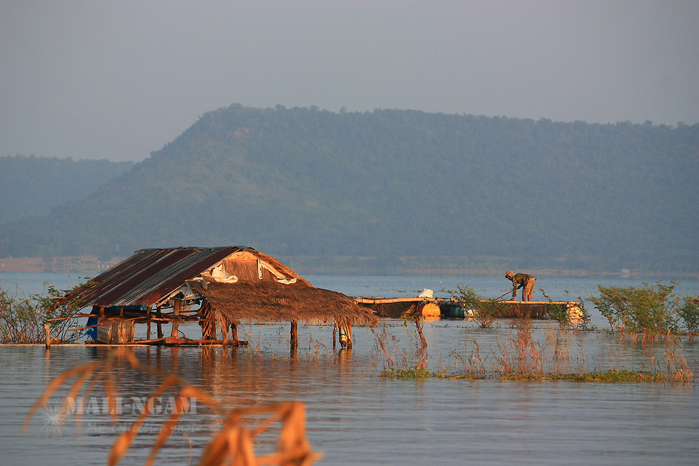 วิถีชาวบ้าน  กับการเลี้ยงปลาทับทิม