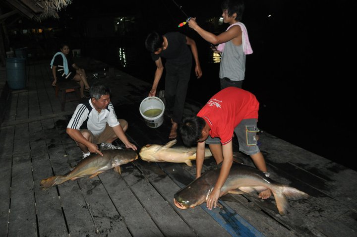 เอ้า !!! .... จัดระเบียบกันหน่อย  :laughing: :laughing: :laughing: