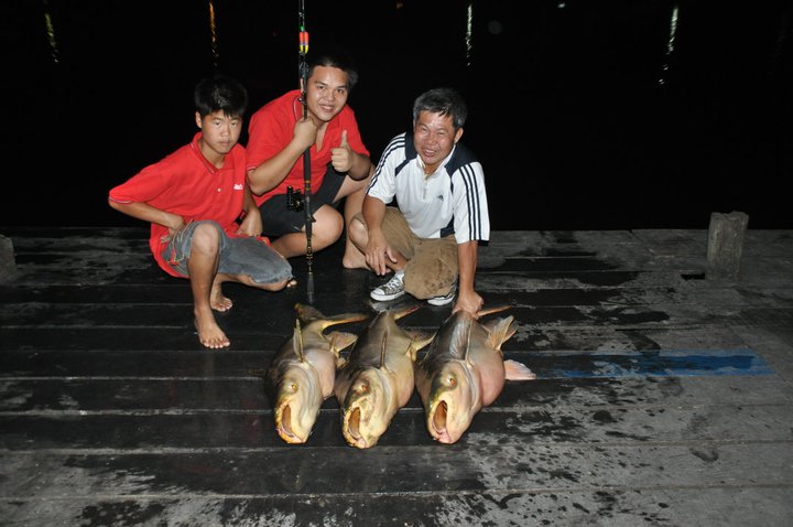 ว้าวววว ..เหมือนถ่ายที่ท่าเรือเลยนะเนี่ย  :cheer:

 :grin: :grin: :grin: