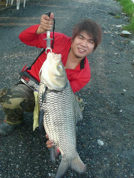  

นี่น้าmax ถ้าผมได้ตัวนี้นะ ผมนอนรอตั้งแต่เช้าเลย

อิอิ :grin: :laughing: :laughing: