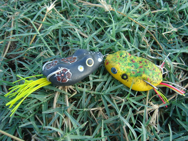 เจอแบบนี้เลยส่งสองคู่หู "NU FROG" ไปสำรว