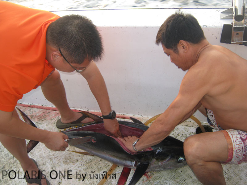 [q][i]อ้างถึง: 5ดาว posted: 03-12-2553, 14:43:46[/i]

คงมีสักไ