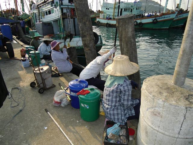 ระหว่างรอเรือเทียบท่ากระผมเลยเดินไปดูชาวบ้านเขาตกปลาตรงสะพานคับ :laughing:
