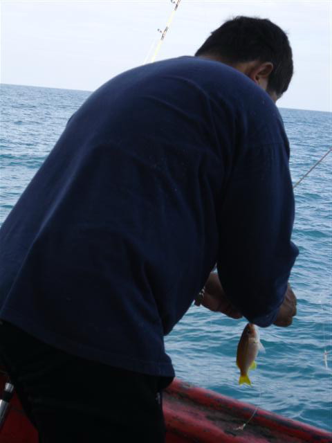 [q][i]อ้างถึง: โมกบ้านใหม่ posted: 03-12-2553, 20:49:17[/i]

 