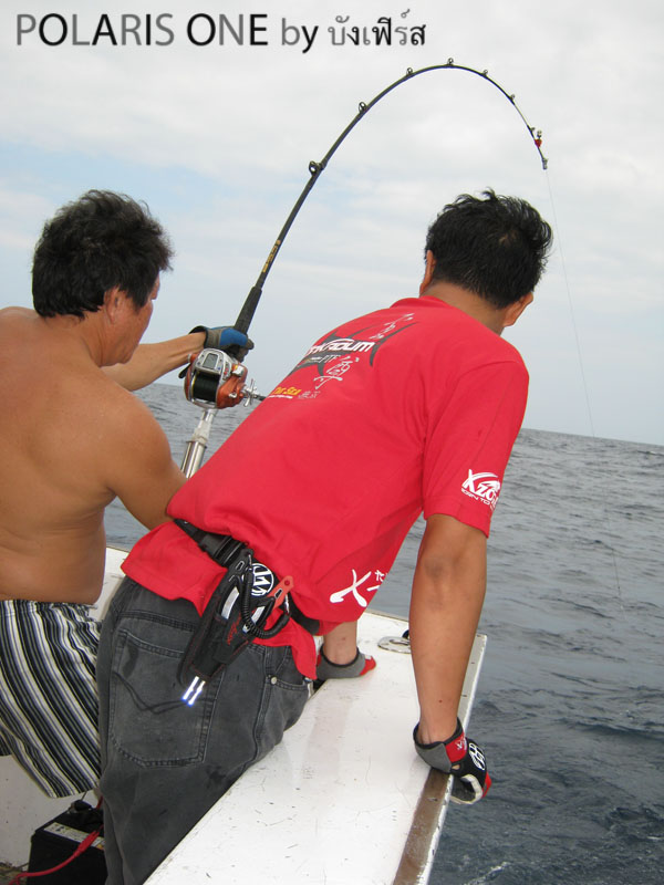 miya ทั้งเรือเลย มี daiwa หลงมาตัวเดียว แถมยังต้องออกอาการ โยกคันช่วยอีก :laughing: :laughing: :laug