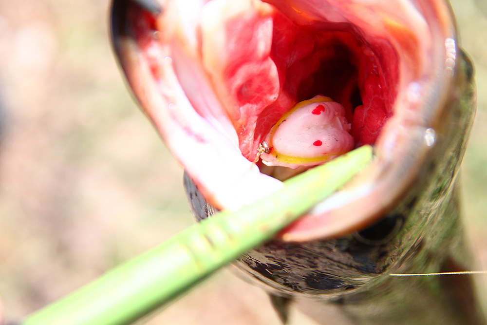 ส่อง "กบ" หน่อยนะครับ อิอิ 

ตัวนี้ไม่ต้องรอตี 4 :laughing: :laughing: :laughing: