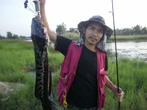 นี่มันปลาพิการรึเปล่า ทามไมมันมีแต่หัวอ่ะ